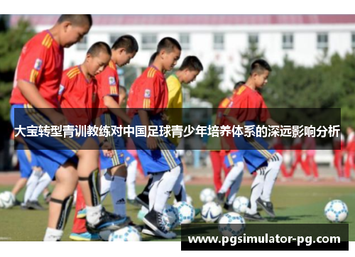 大宝转型青训教练对中国足球青少年培养体系的深远影响分析
