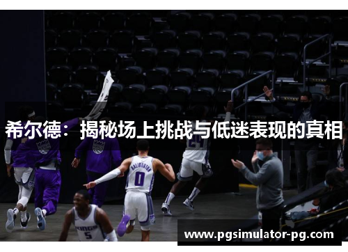 希尔德：揭秘场上挑战与低迷表现的真相