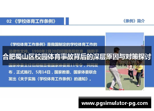 合肥蜀山区校园体育事故背后的深层原因与对策探讨