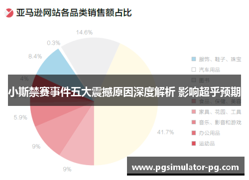 小斯禁赛事件五大震撼原因深度解析 影响超乎预期